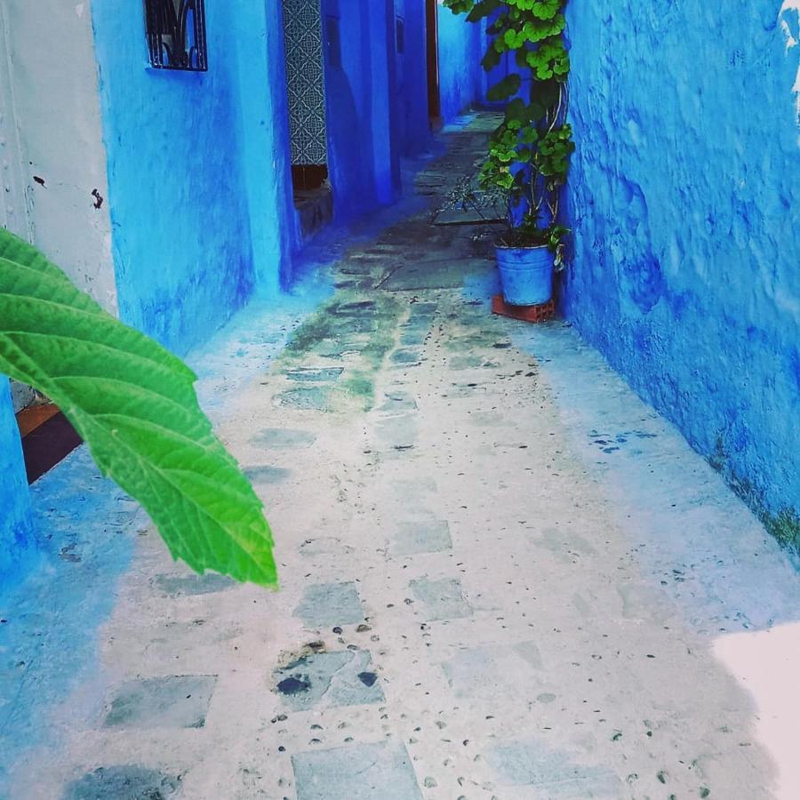 Casa Mablu Διαμέρισμα Chefchaouen Εξωτερικό φωτογραφία